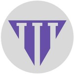 flashing panda meteor storm led changing pattern spinner wand